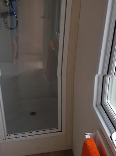 Daisie